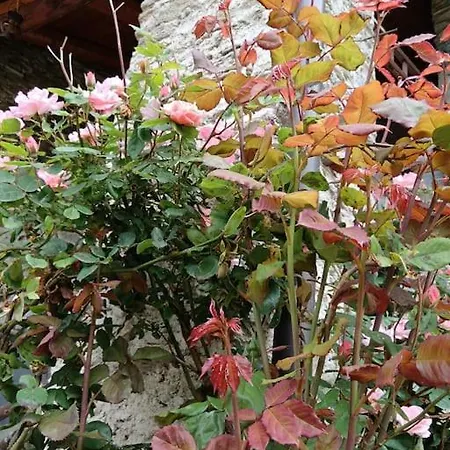 Casa Delle Rose -